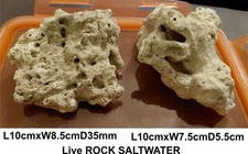 Live rock saltwater 2pcs