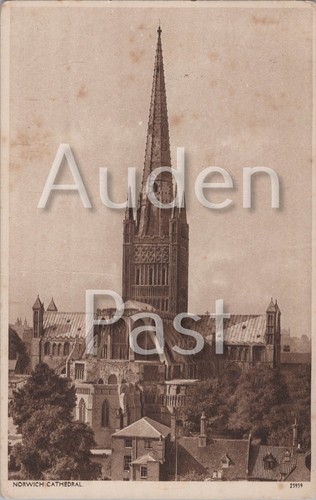 Norwich cathedral printed - cathedral,