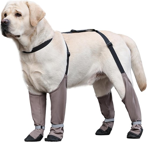Dog shoes waterproof - dog, shoes,waterproof