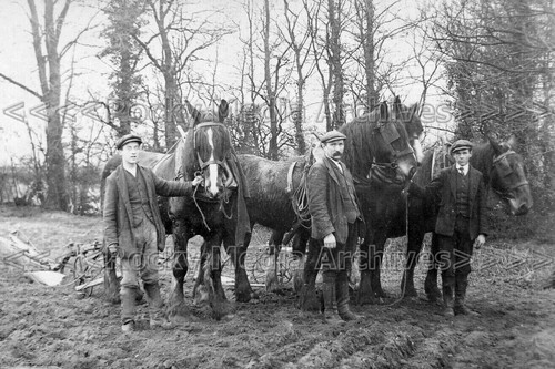 Abb farm horse plough - abb-98, &