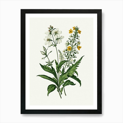 Vintage botanical galleria - vintage,
