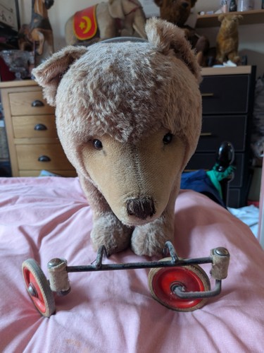 Antique steiff bear - antique, on