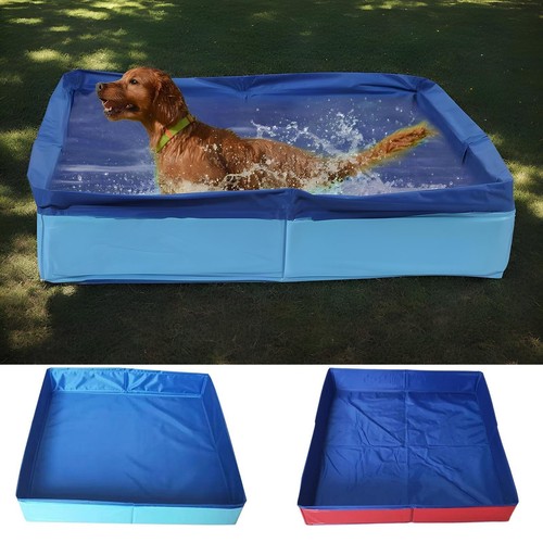 Dog puppy swimming paddling - dog,