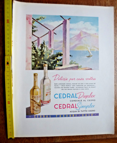 Advertising cedral tassoni - advertising,