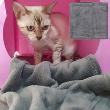 Fluffy Soft Pet Blanket Cat