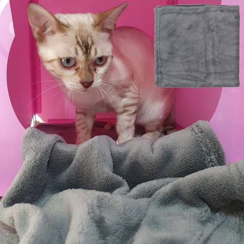 Fluffy soft pet blanket - soft,