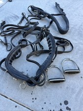 Full-Size Horse Driving