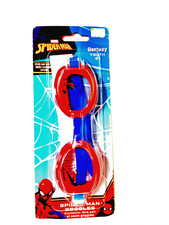 Marvel Spider-Man Youth Swim