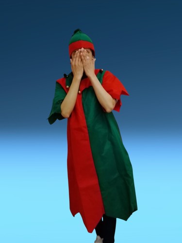 Deluxe adult elf fancy - deluxe,