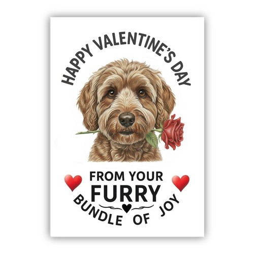 Multiple breeds valentine - multiple, valentine’s