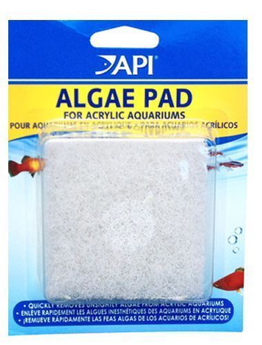 Api algae scraper pad - pad, &