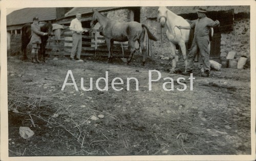Vintage rppc real photo - rppc,