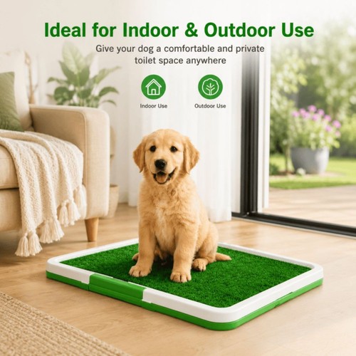 Large pet dog toilet - large,