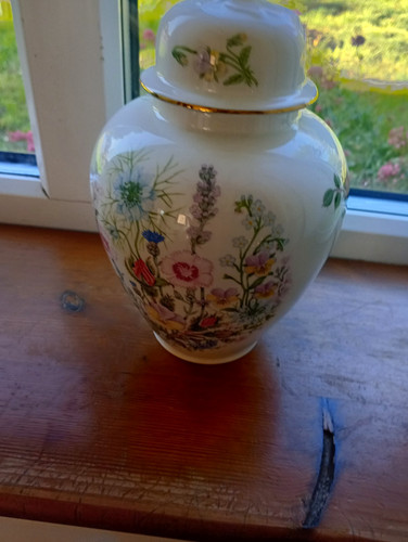 Aynsley wild tudor bone china - wild,
