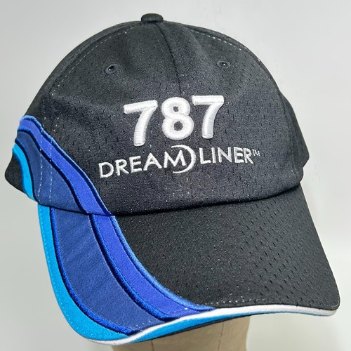 Boeing 787 dreamliner airplane - boeing,