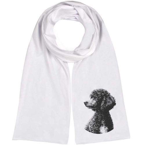 Miniature poodle portrait - poodle, portrait'