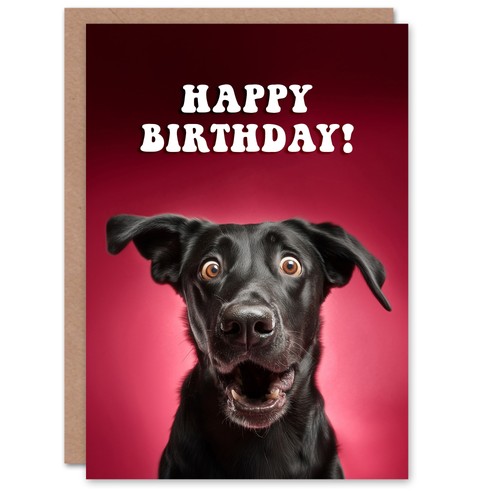 Excited black labrador - excited,