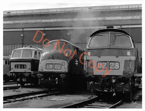 Old oak common - old, train