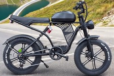 Adult Electric Bike 48V 20"