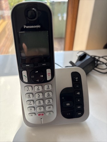 Panasonic