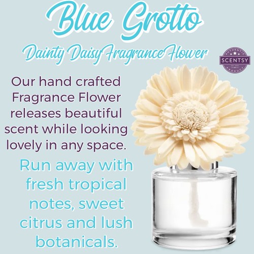 Scentsy blue grotto dainty - blue,