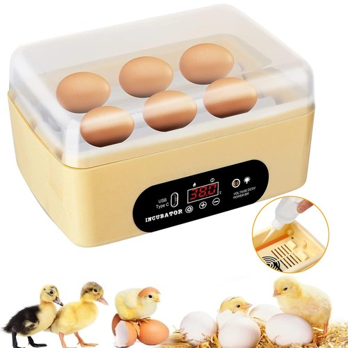 Eggs incubator automatic - automatic, egg