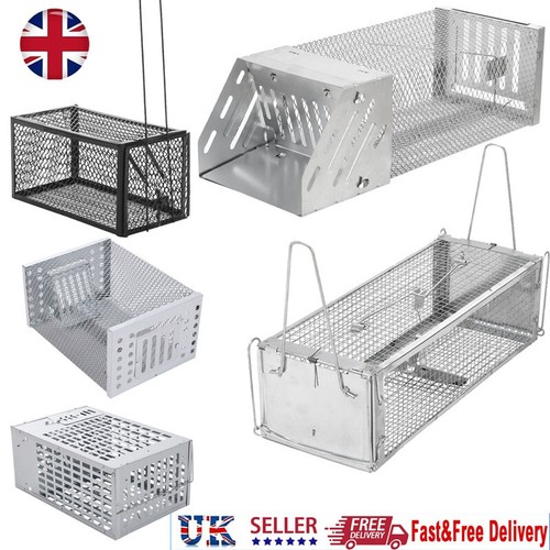 Rat trap heavy duty stainless - rat,