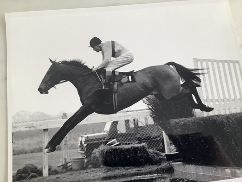 Press photo arkle - arkle, pat