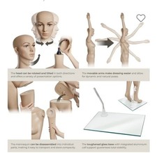 full body mannequins from