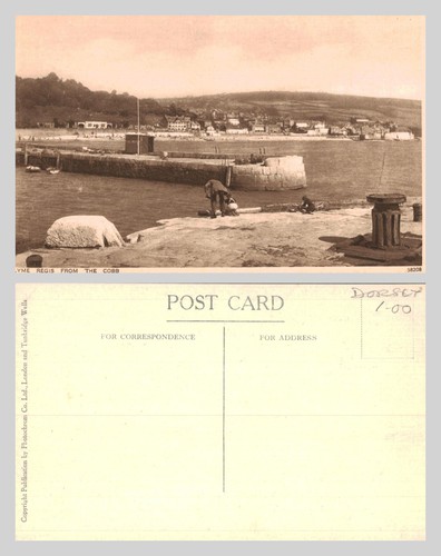 Vintage postcard lyme - postcard,