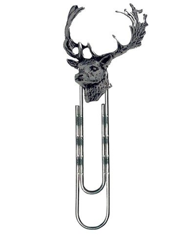 A63 fallow deer - deer, head