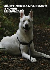 White German Shepherd A3 2026