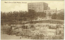 NORWICH POSTCARD - CASTLE &