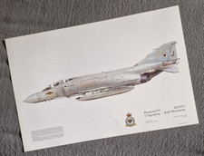 Squadron Print Phantom F4J