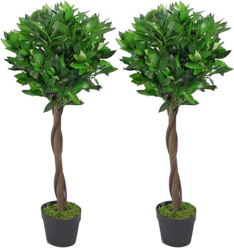 Artificial bay trees house - artificial, x