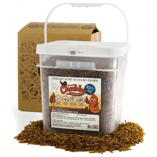Dried mealworms wild bird food - wild,
