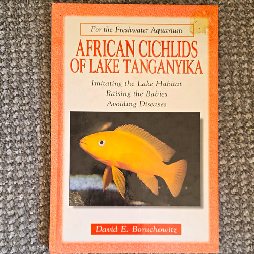 David boruchowitz african - e.,