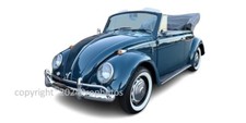 1966 Volkswagen Beetle Classic Collectors Ultra-Premium Custom Photo 8" x 10" B