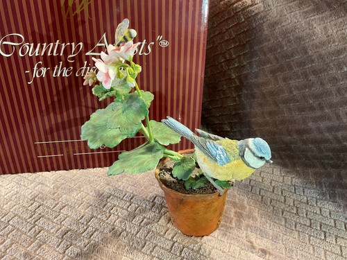 Country artists dawn - country, chorus