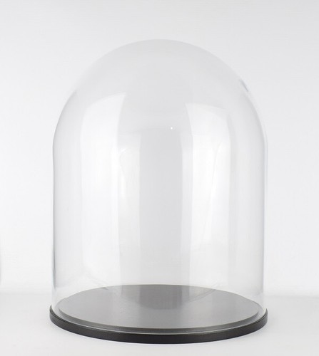 Emh large glass dome display - emh,