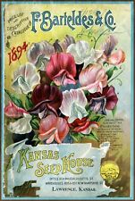 Gardening Flower Seed