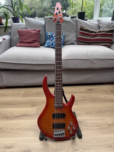 Peavy international string - peavy,