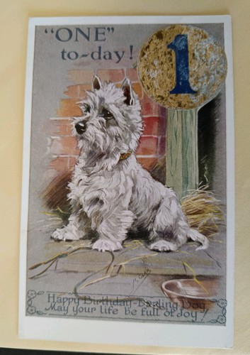 Mabel gear dog postcard - dog, postcard,