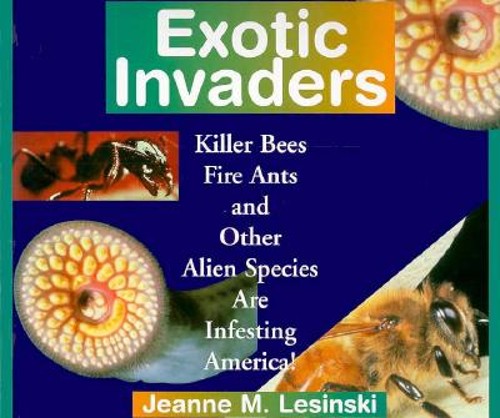 Exotic invaders killer - exotic, bees