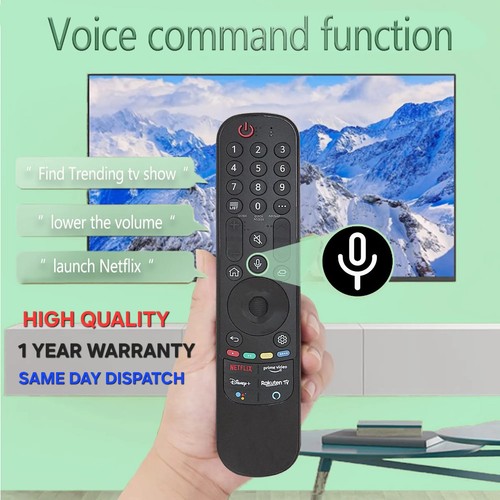 Magic voice remote - magic,