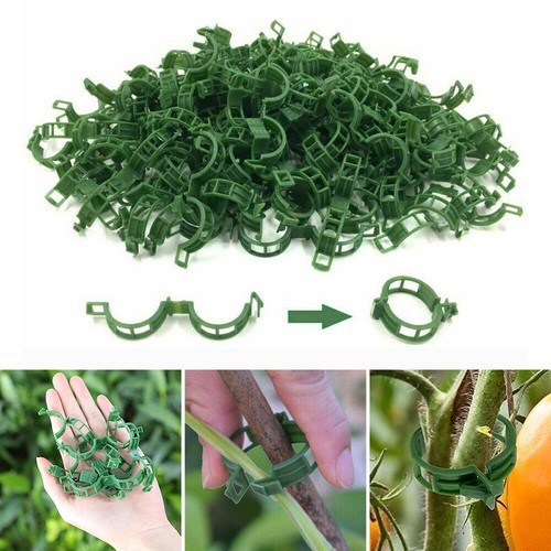 50pcs tomato greenhouse ties - 50pcs,