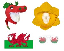 Welsh Cymru Sports Supporter