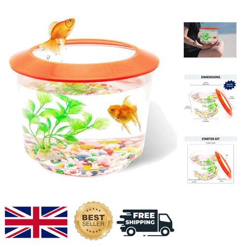 Goldfish bowl starter kit - kit,