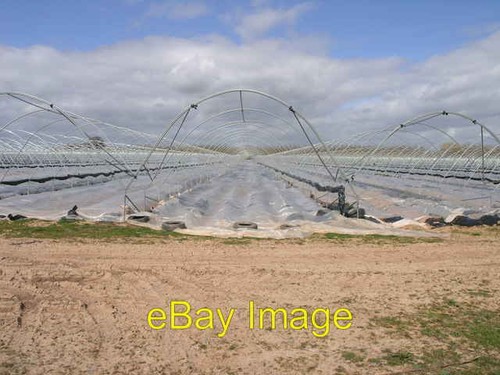 Photo 6x4 field full - photo,