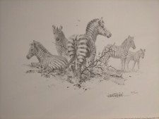 David Shepherd - Zebra Pencil